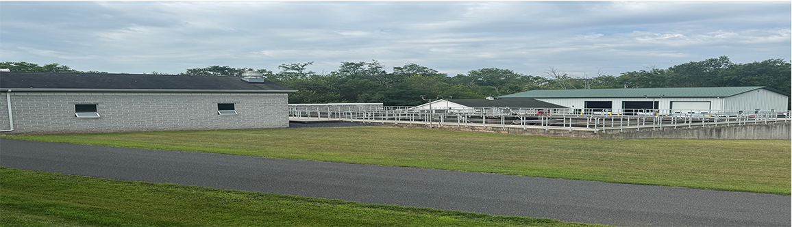 Water Treatment Plant